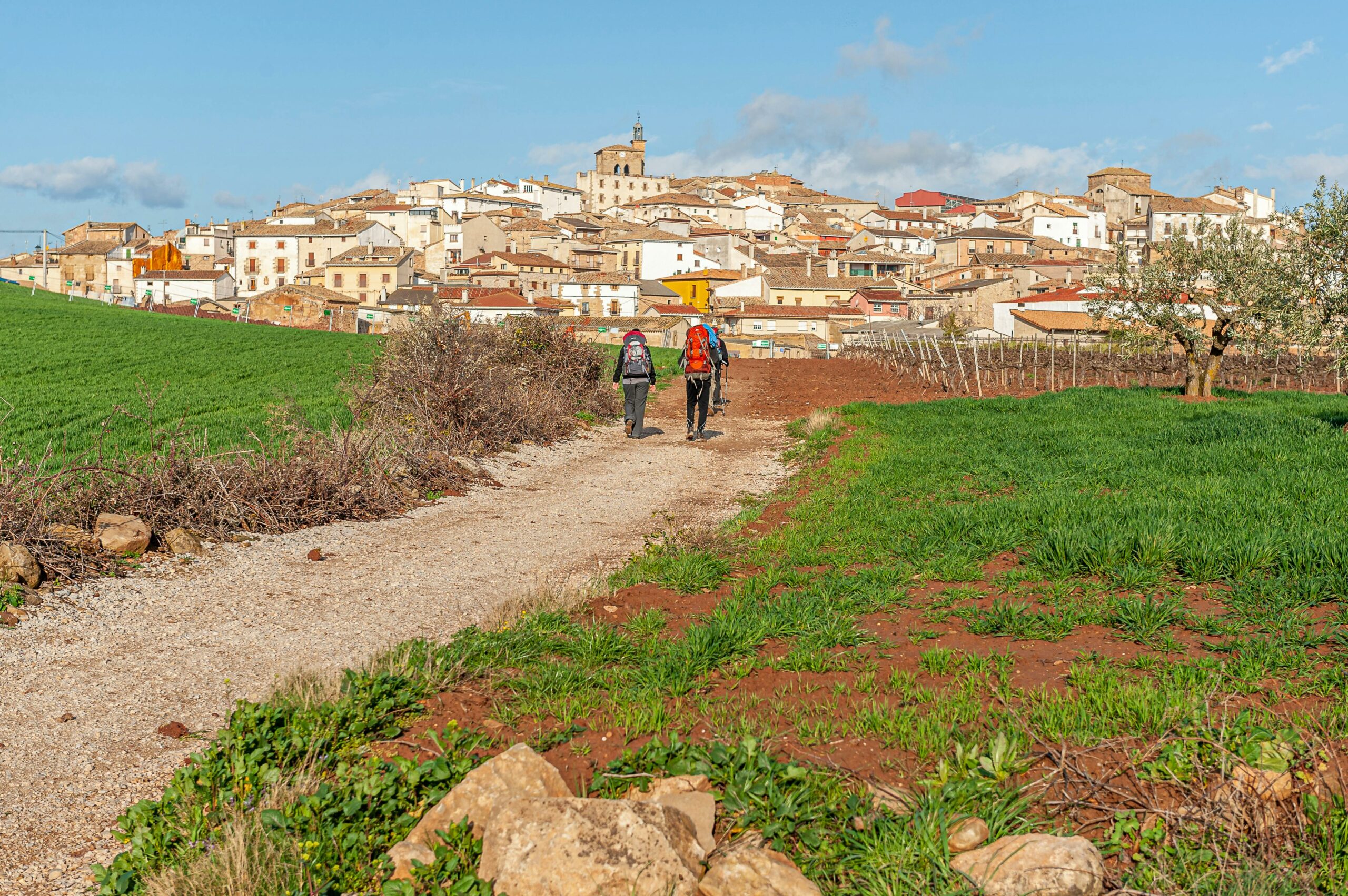 Two pilgrims walking along the historic Camino de Santiago trail, surrounded by lush greenery and the promise of spiritual discovery.